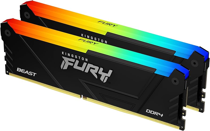 Kingston Fury Beast Black